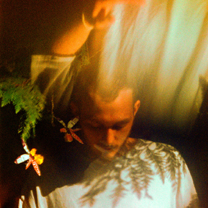 官网运营小虾导航
