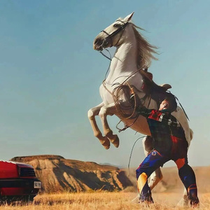 官网运营小虾导航
