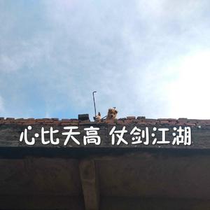 官网运营小虾导航
